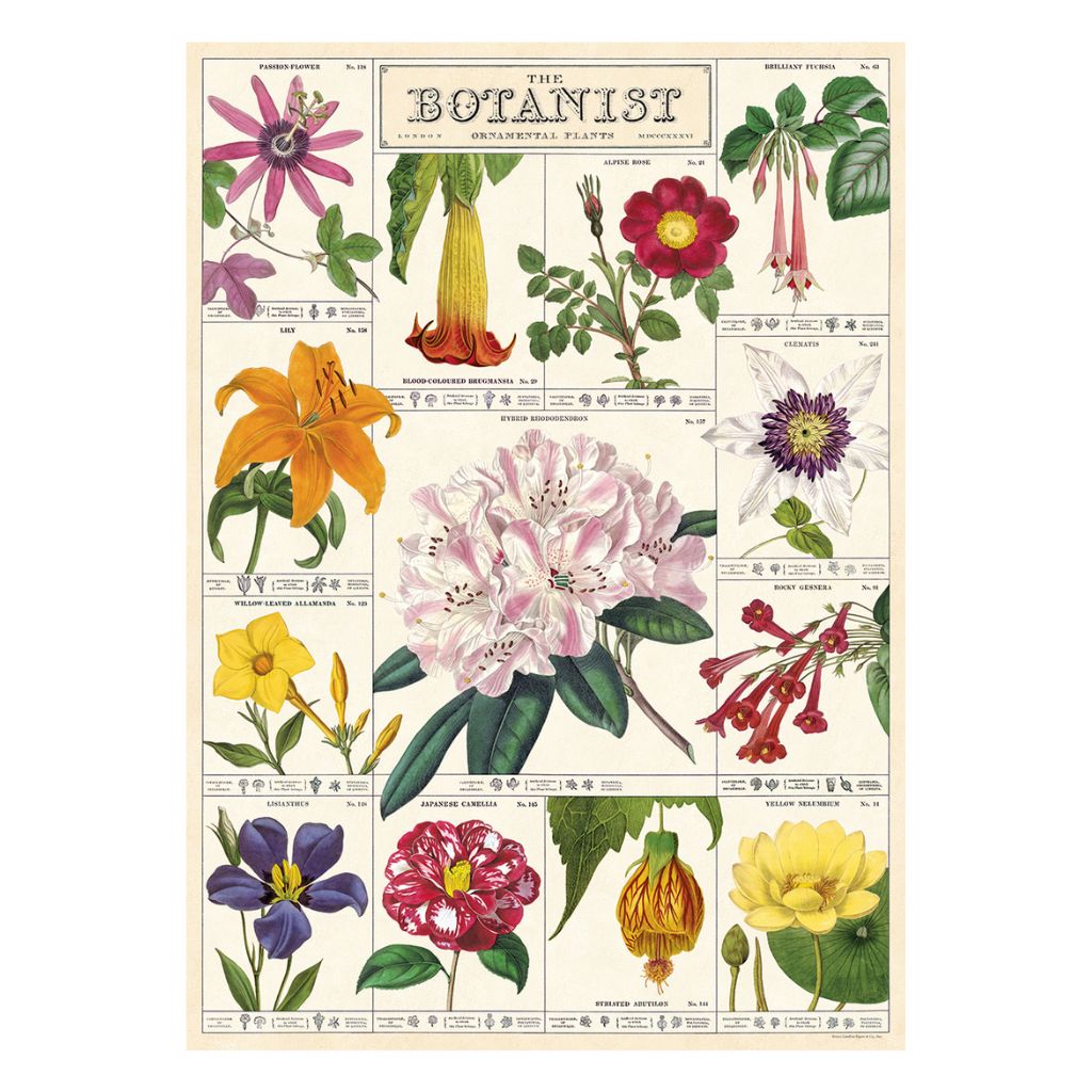 Botanist Wrap - Poster