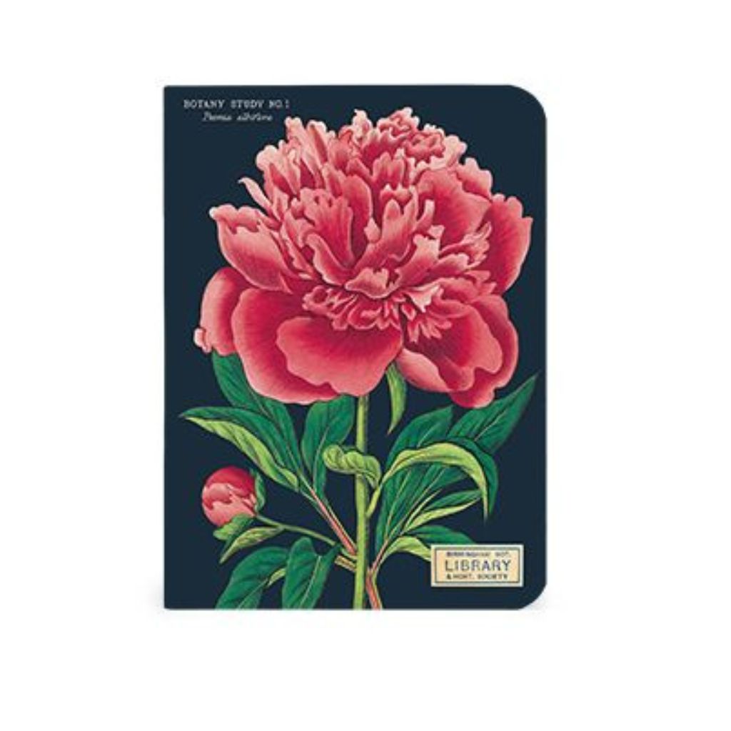 botany notebook - pink flower
