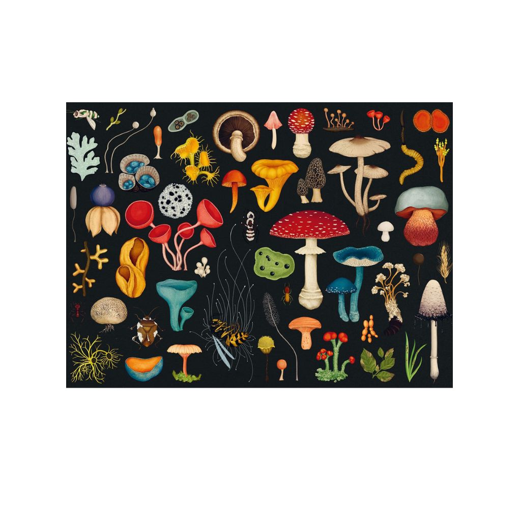 fungarium jigsaw