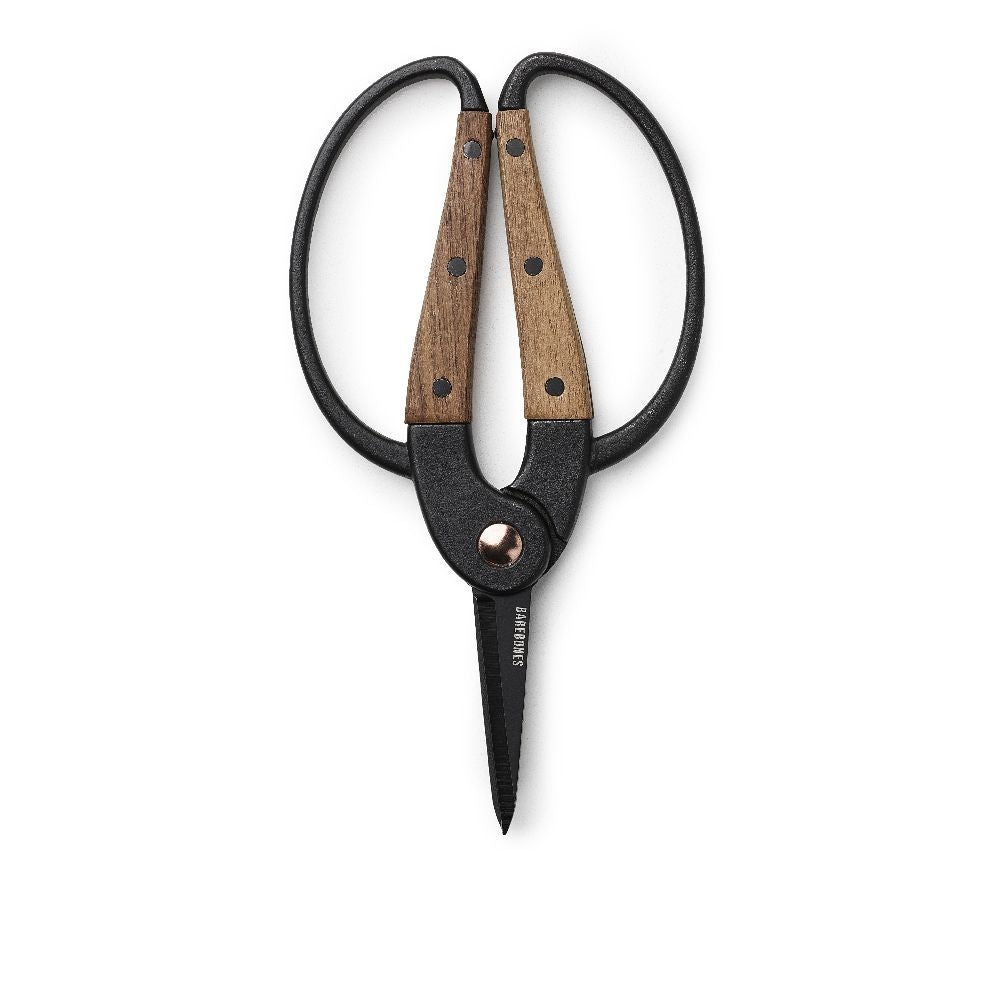 Garden Scissors With Walnut Handle