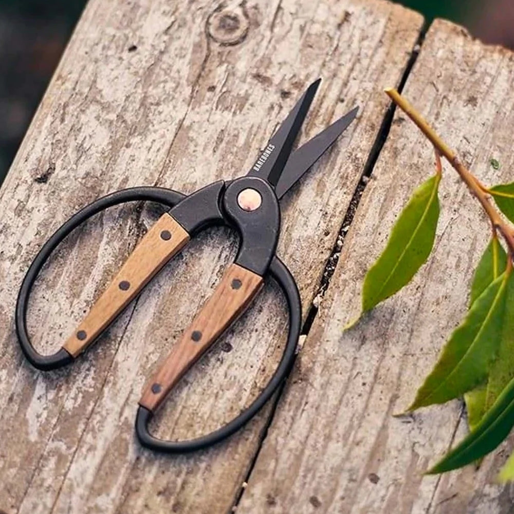 Garden Scissors With Walnut Handle