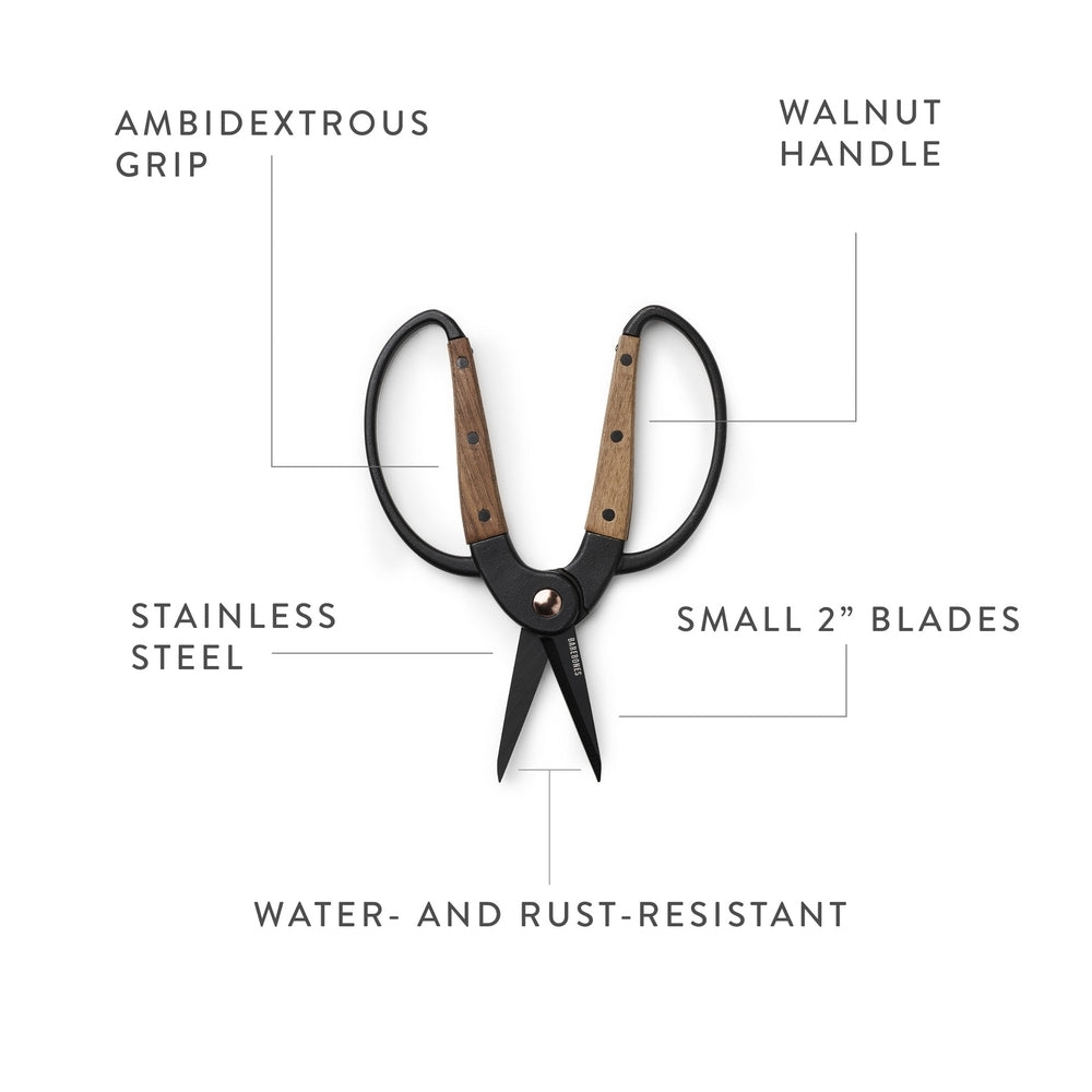Garden Scissors With Walnut Handle