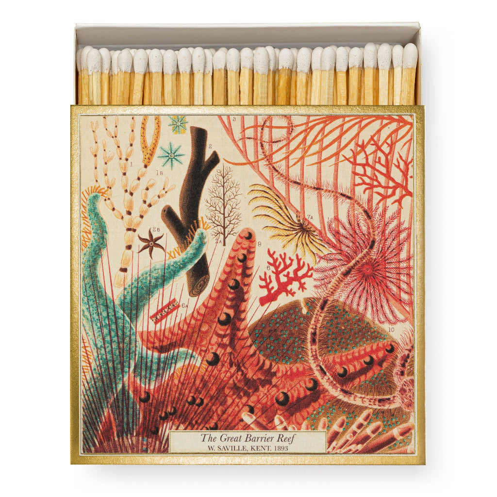 Luxury Matches - Natural History Museum Great Barrier Reef