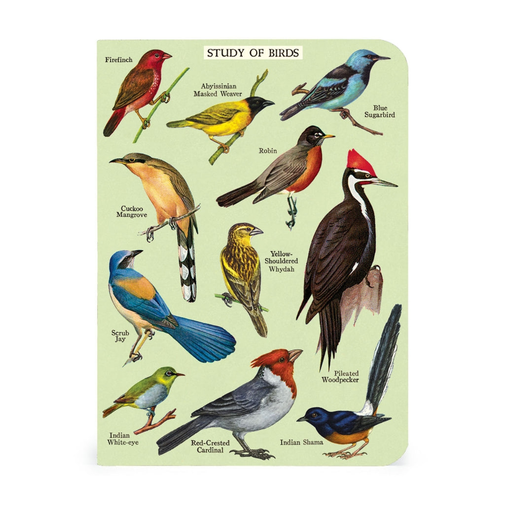 Bird Watching Mini Notebooks - Set of Three