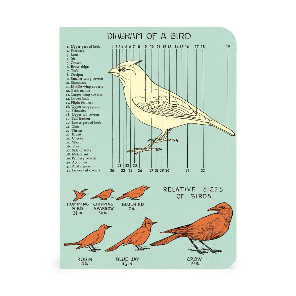 Bird Watching Mini Notebooks - Set of Three