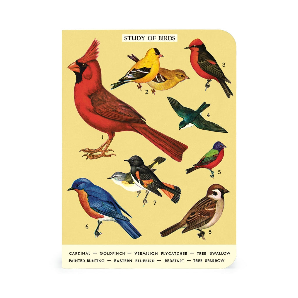 Bird Watching Mini Notebooks - Set of Three