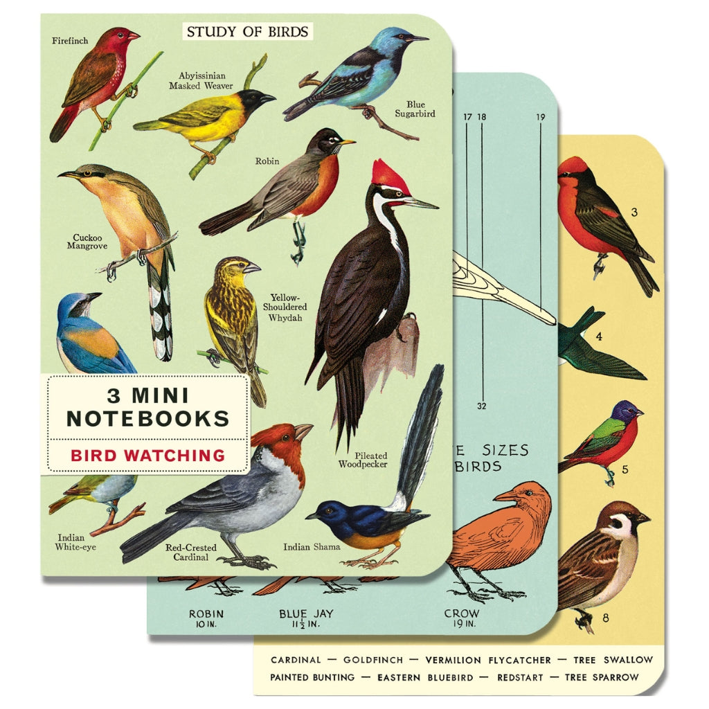 Bird Watching Mini Notebooks - Set of Three