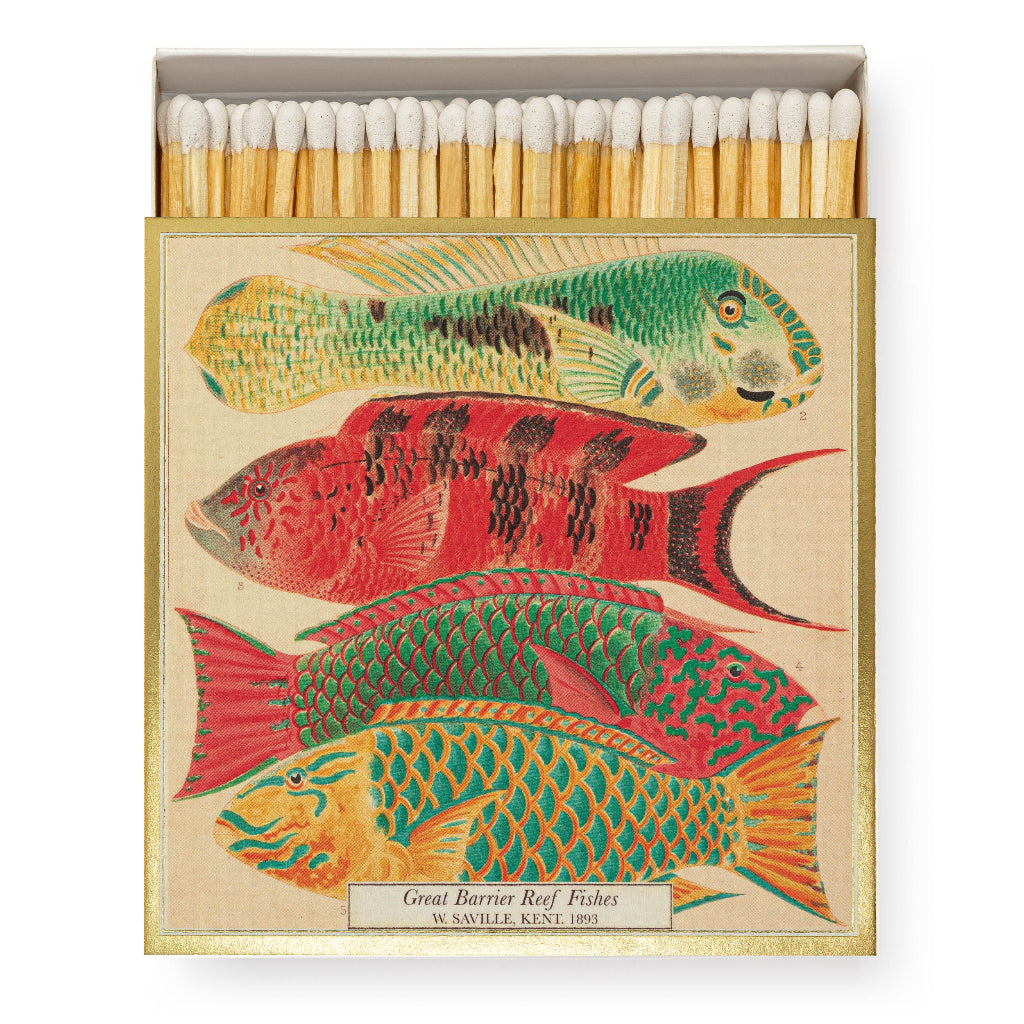 Luxury Matches - Natural History Museum Fish