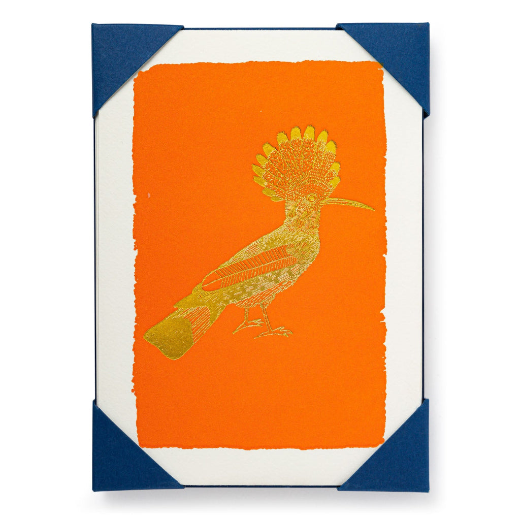 Notecard Set - Orange Hoopoe