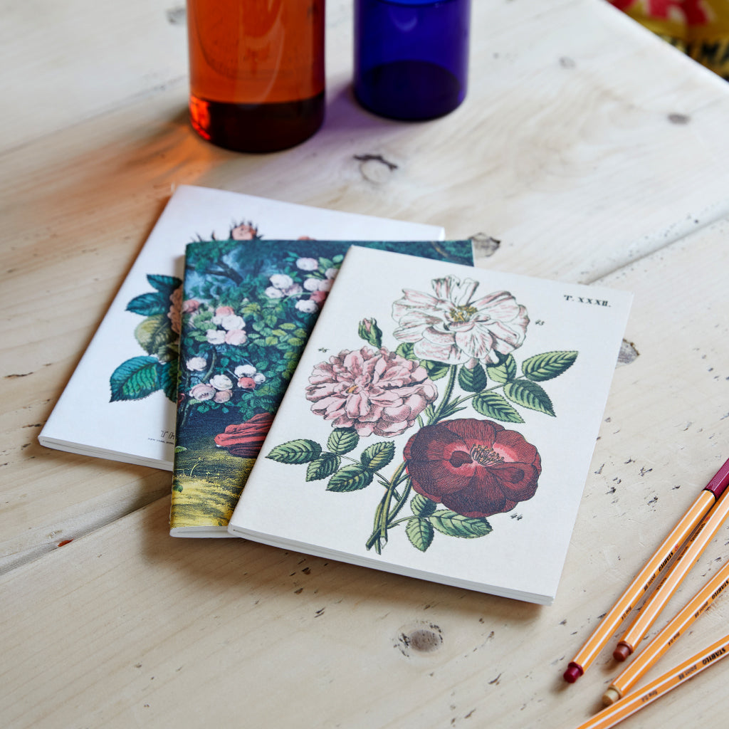 Set of three notebooks roses