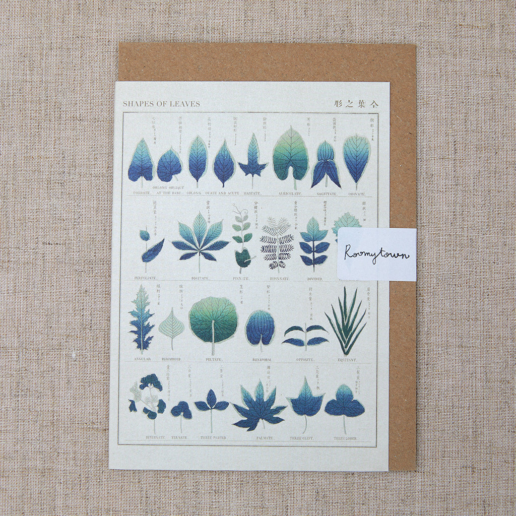 Shapes of Leaves Greeting Card