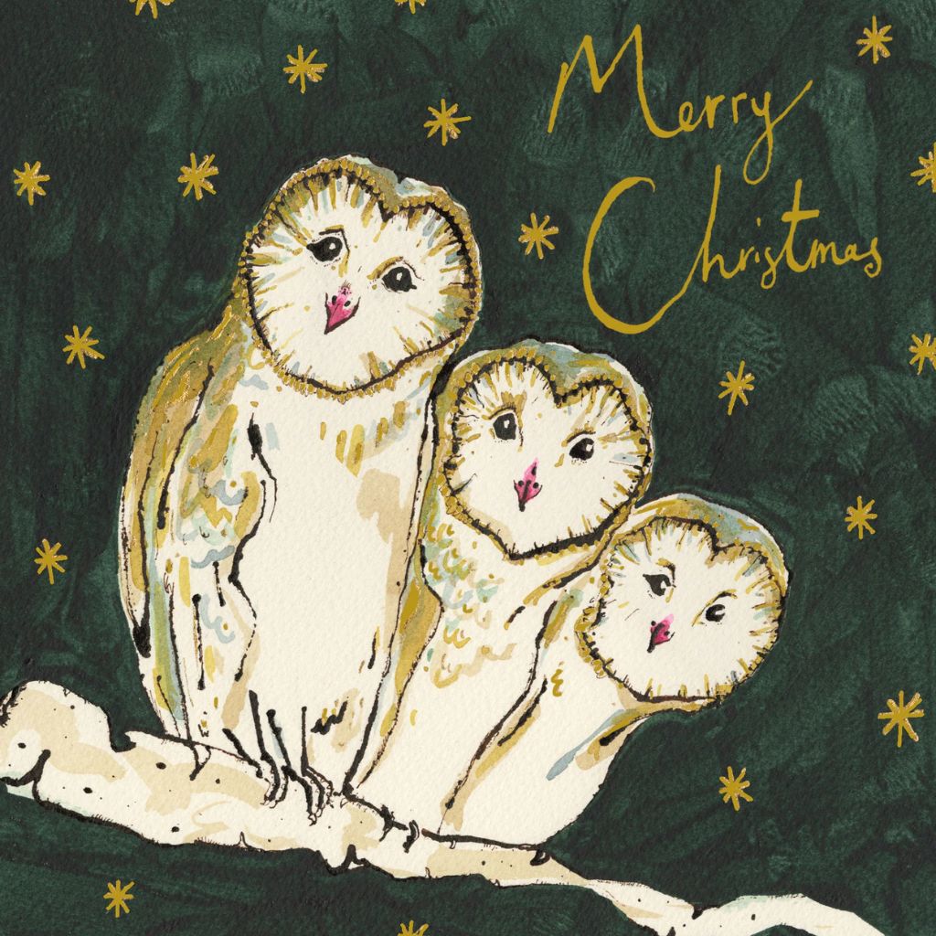 Three Wise Owls Christmas Card