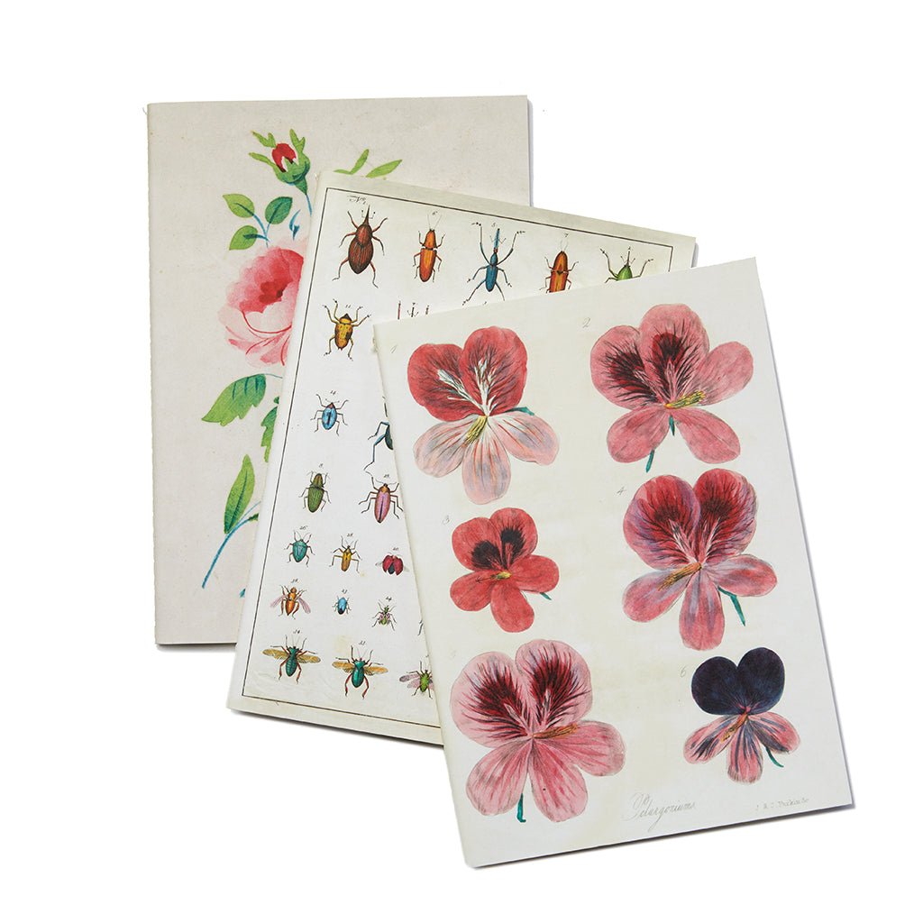 Seconds John Derian Set of Three Notebooks