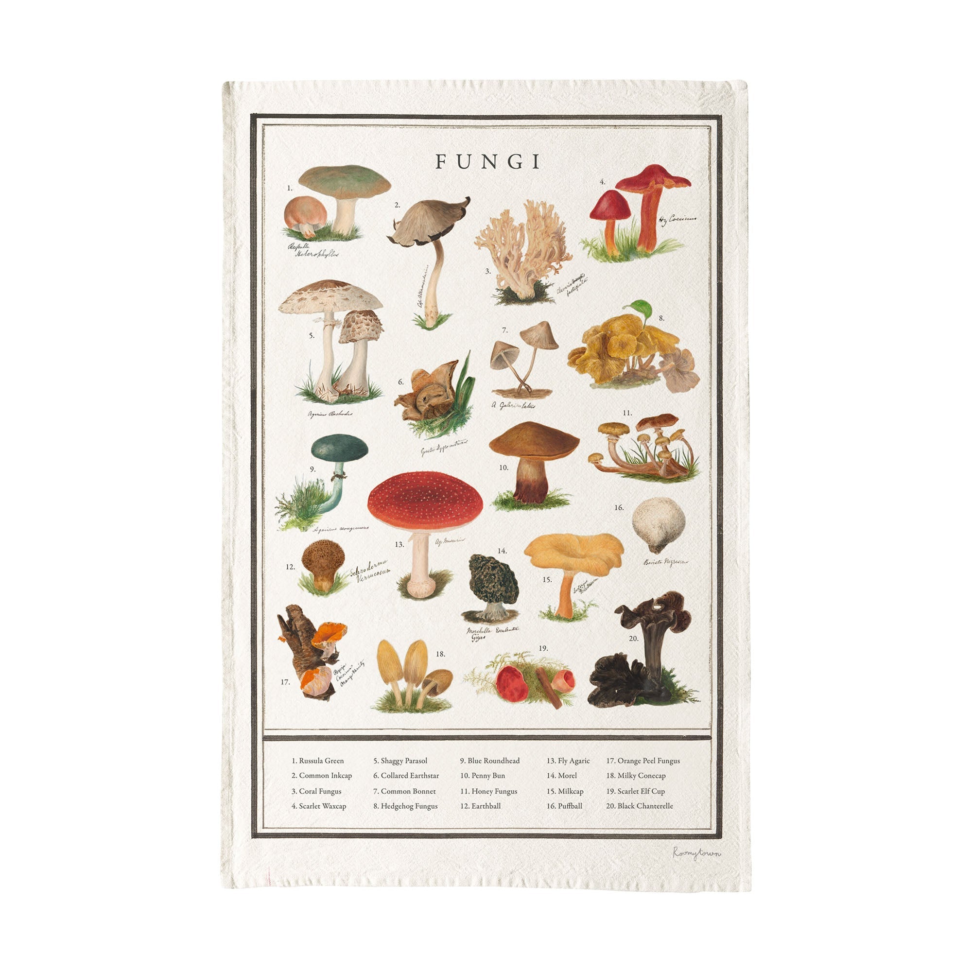 Tea Towel - Fungi - Life of Riley